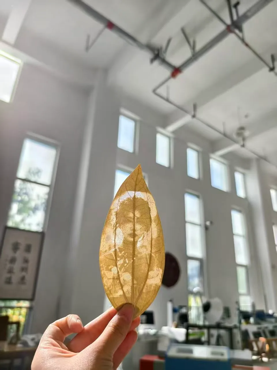 MEMITEK CO₂ 激光雕刻切割机